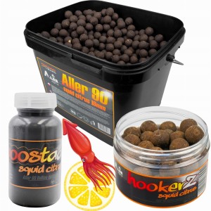 Przejdź do produktu ALLER 90- KULKI KARPIOWE 5kg + HOOKERZ + BOOSTER Massive Baits SQUID CITRUS